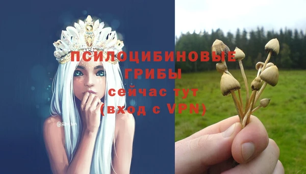 молекула духа Беломорск