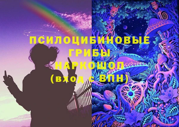 mdma Белокуриха