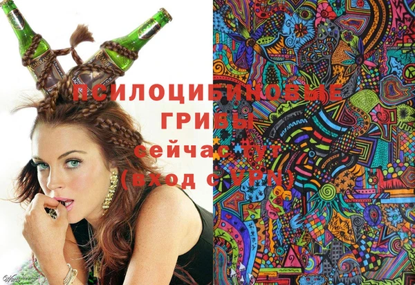 молекула духа Беломорск