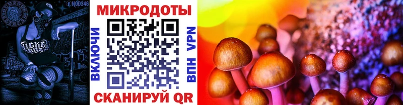 Псилоцибиновые грибы GOLDEN TEACHER  Купить  Железногорск-Илимский 